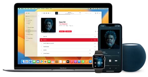 How to Follow Someone on Apple Music by Username: A Detailed Guide with Multiple Perspectives